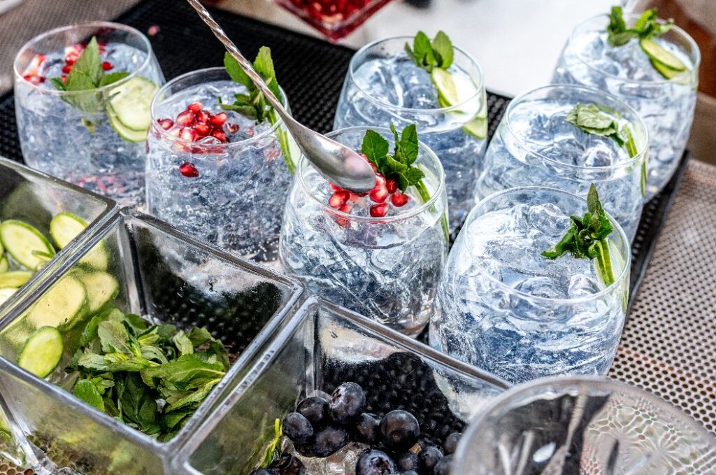 Summer Fresh Gin Tonic