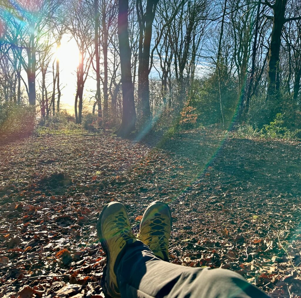 Ein Mensch sitzt entspannt im herbstlichen Wald, Sonnenlicht fällt durch die Bäume